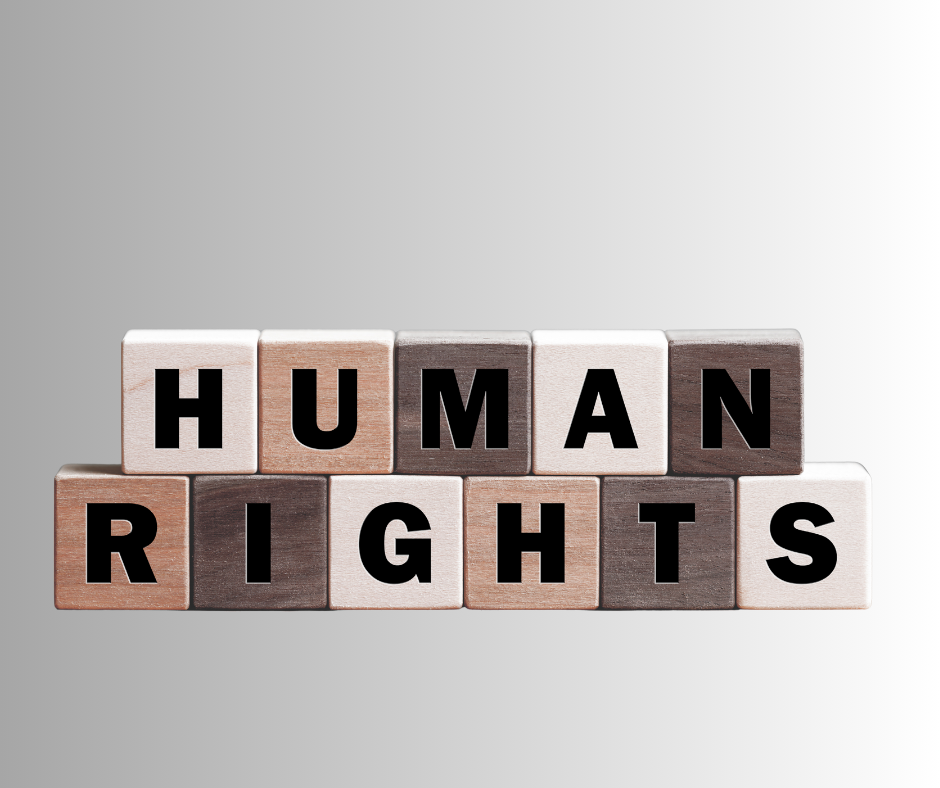 Human Rights and Reproductive Healthcare: A Global Call to Action for Dignity, Equality, and Justice