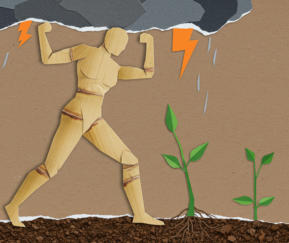 Unshakable Strength How to Build Resilience and Thrive in Your Law Career
